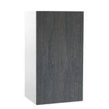 Quick Assemble Modern Style with Soft Close 24 in Wall Kitchen Cabinet (24 in W x 12 D x 42 in H)